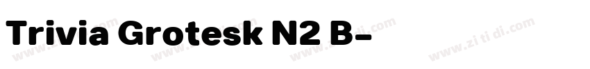 Trivia Grotesk N2 B字体转换